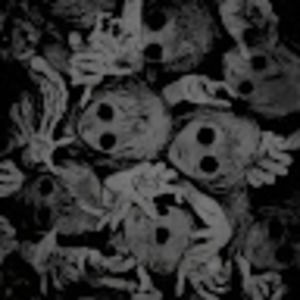 Meet your Posher, Rayne